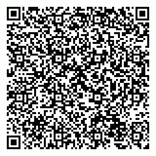 vCard 79220800281