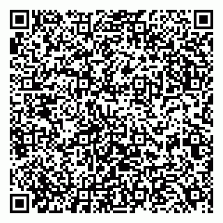 vCard 79220800294