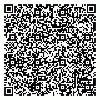 vCard 79220800308