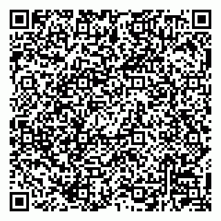 vCard 79220800312