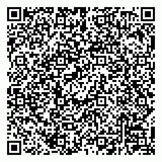 vCard 79220800313