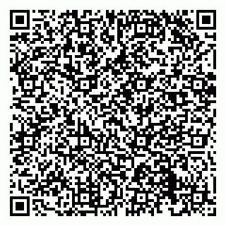 vCard 79220800314