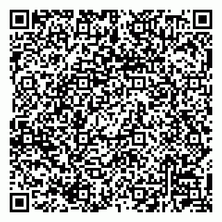 vCard 79220800317