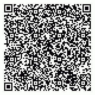 vCard 79220800324
