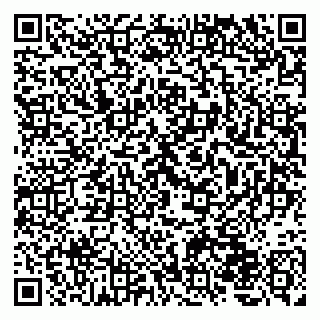 vCard 79220800327