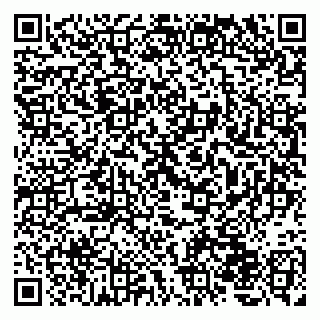 vCard 79220800333
