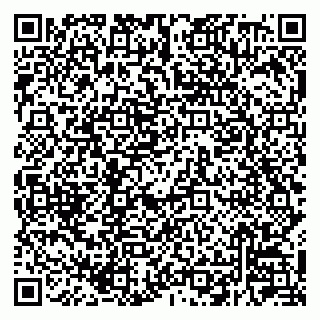 vCard 79220800351