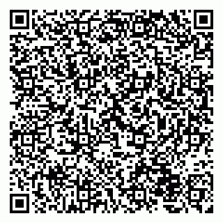 vCard 79220800377