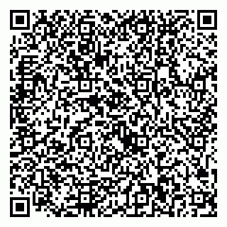 vCard 79221000011
