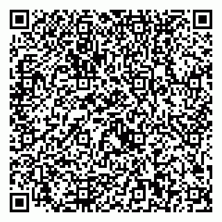 vCard 79221000208