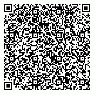 vCard 79221000217