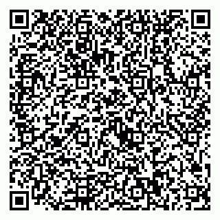 vCard 79221000247