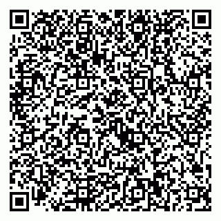 vCard 79221000275