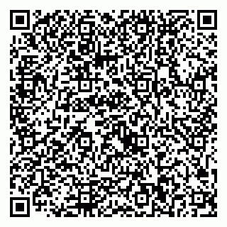 vCard 79221000291