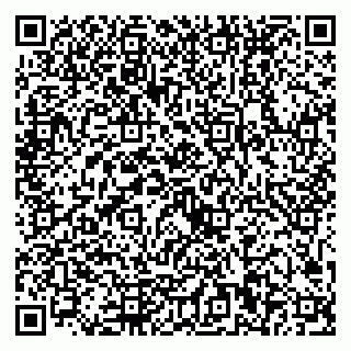 vCard 79221000308