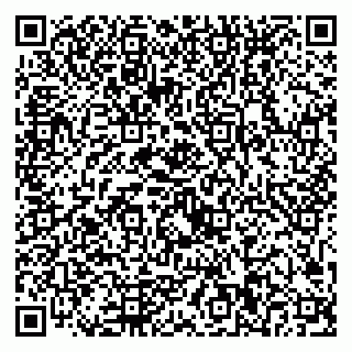 vCard 79221000311