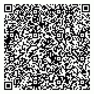 vCard 79221000312