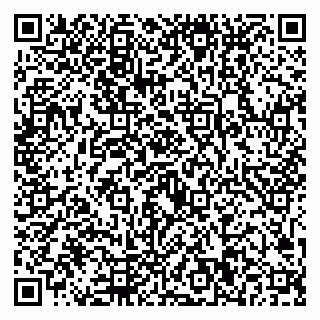 vCard 79221000313