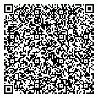 vCard 79221000317