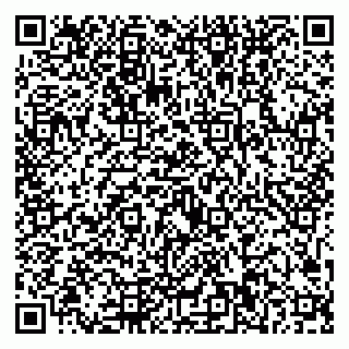 vCard 79221000335