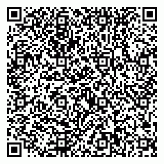 vCard 79221000375