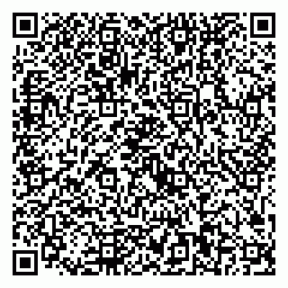 vCard 79221000379