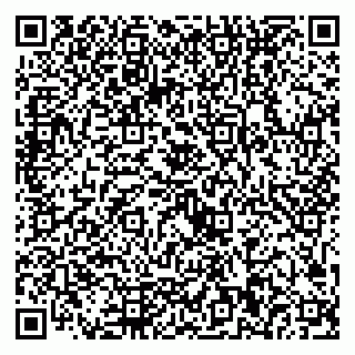vCard 79221000380