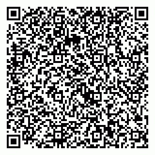 vCard 79221000381