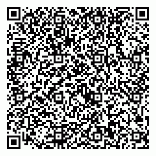 vCard 79221000384