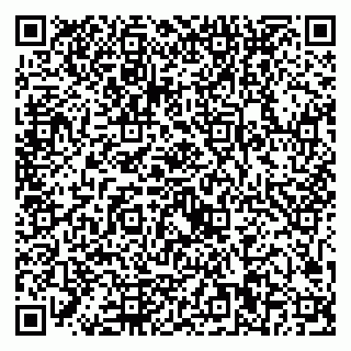 vCard 79221000389