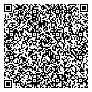 vCard 79221000397