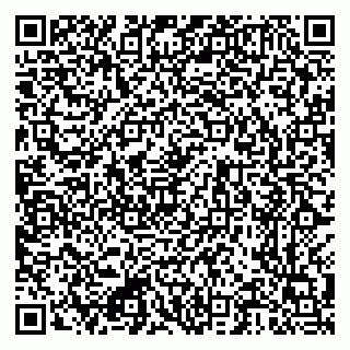 vCard 79222300099