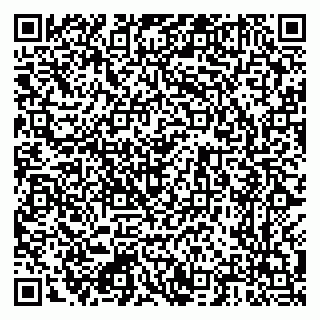 vCard 79222300117