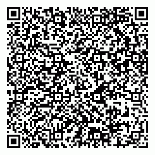 vCard 79222300131