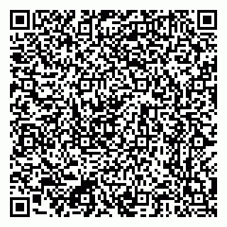 vCard 79222300181