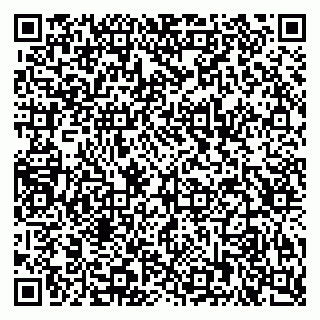 vCard 79222300214