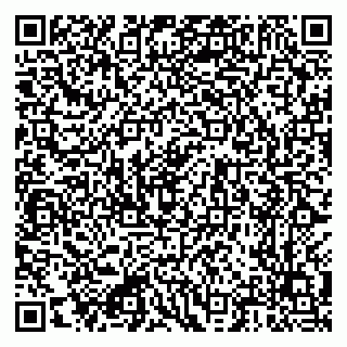 vCard 79222300217