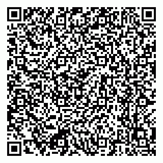 vCard 79222300233