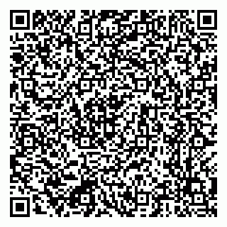 vCard 79222300297