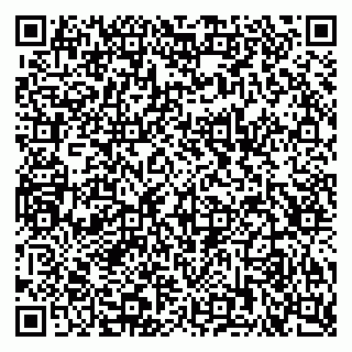 vCard 79222300303