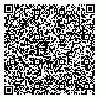 vCard 79222300308