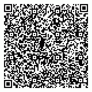 vCard 79222300332