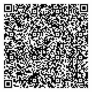 vCard 79222300377