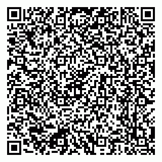 vCard 79222300382
