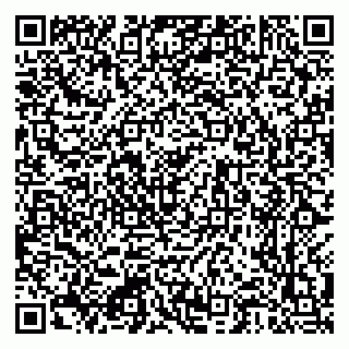 vCard 79222300389