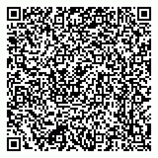 vCard 79222300390