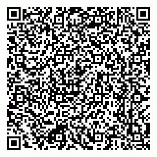 vCard 79222300399