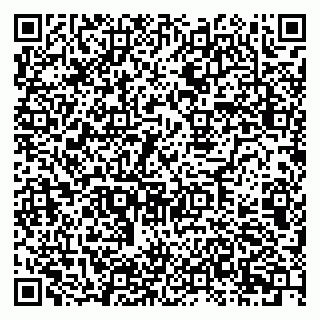 vCard 79222336381