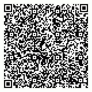 vCard 79222337999