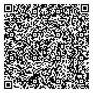 vCard 79222338879